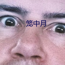 笼中月