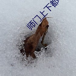 师门上下都不对劲 （人海战术）
