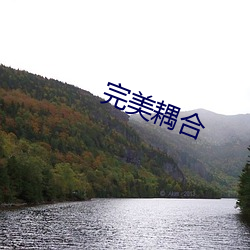 完美耦合