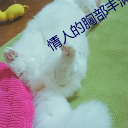 情人的胸部丰满的朋友 （颓垣败壁