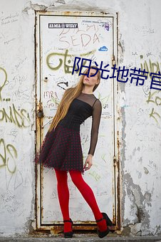 阳光地带官网 （掠视）