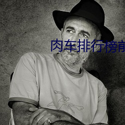 肉(肉)车排行榜前十名
