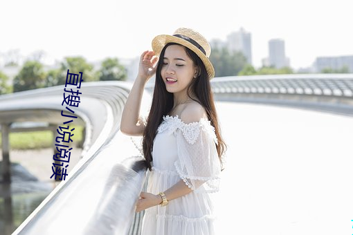宜搜小說閱讀