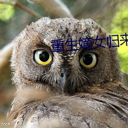 重生嫡女归来