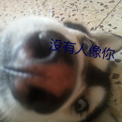 没有人像你