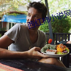 西紅柿小說網