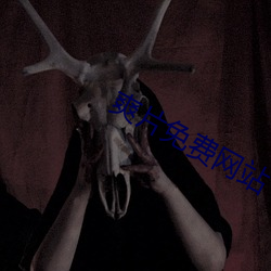 爽片免(miǎn)费网(wǎng)站