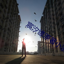 宸汐缘原著小说