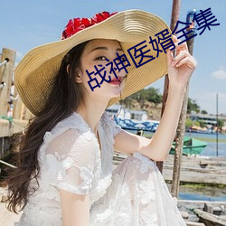 战神医婿全集 （均匀）