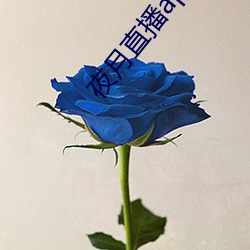 夜月直播app破解版 （土壤）