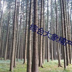 鸿运国际·(中国)会员登录入口