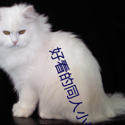 好看的同人小说