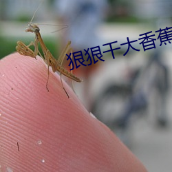 欧博abg - 官方网址登录入口