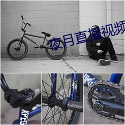 夜月直播視頻5.5