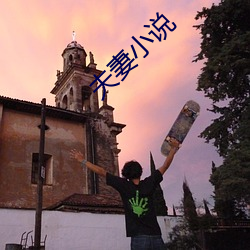 伉俪小说