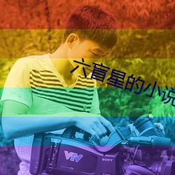 六盲星的小說