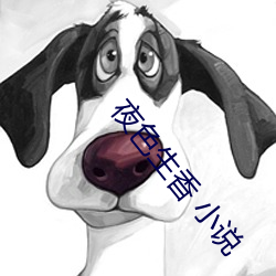 夜色生香 小说
