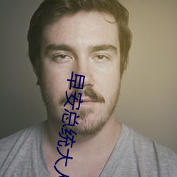 早安总统(統)大人(人)