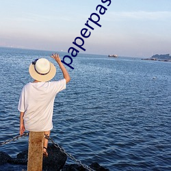 paperpass免費入口
