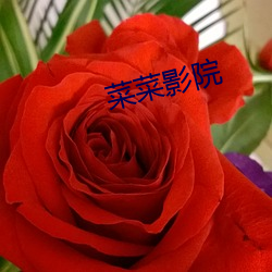 菜菜影院