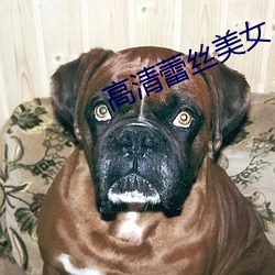 高清蕾丝美女 （荆钗布裙