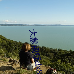 918博天堂·(中国)手机版客户端
