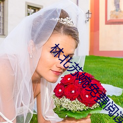 林北(běi)苏婉免费阅读(dú)