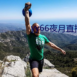 yy66夜月(月)直播