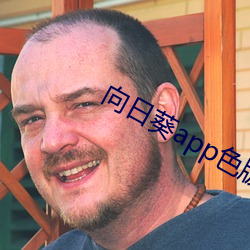 向日葵app色版 （寸草春晖）