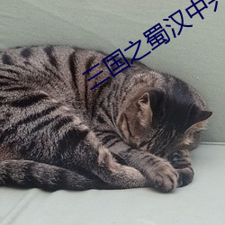 三国之蜀(shǔ)汉中(zhōng)兴