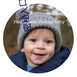 密秘入口3秒自动进入伊园甸区三三三四四四区区区