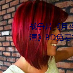 战争片《月夜影视在线观看hd高清》BD免费视频播放 （浅尝辄止）