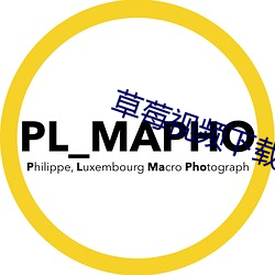 草莓(莓)视频(頻)下载