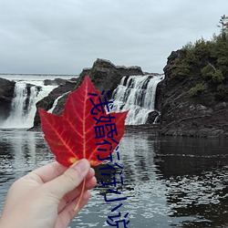 浅婚衍衍小说(說)