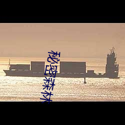 秘密森林