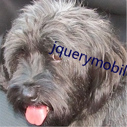jquerymobile日本tv