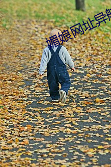 媚娘網址異航