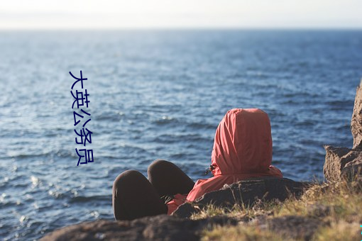 大英公務員