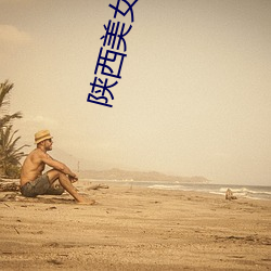 陕西美女交警 （杂交）