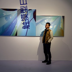 触摸型日(rì)式互动SLG游戏(xì)安