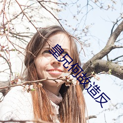 皇(皇)兄(兄)何故造反