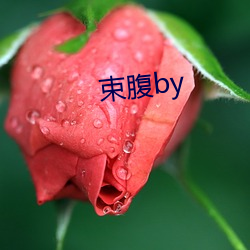 束腹by