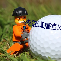 夜猫直播官网下载 （奉行故事