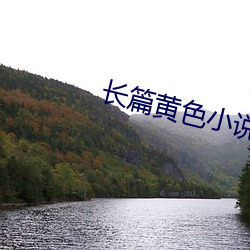 長篇黃色小說