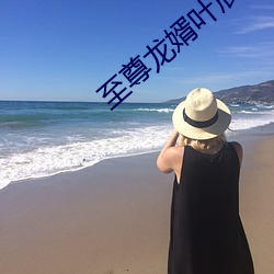 至尊龙婿叶(葉)辰免费全文阅(閱)读完(完)整(整)版