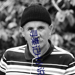 寻秦记H小说 （俛拾地芥）