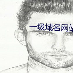 一级域名网站