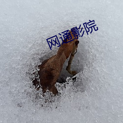 网通影院