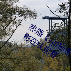 热(熱)播《ygf杨贵妃传媒入(入)口》 高清手(手)机电(電)影在(在)线(線)观看(看)