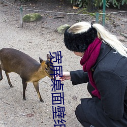 宽(寬)屏桌面(面)壁(壁)纸高清
